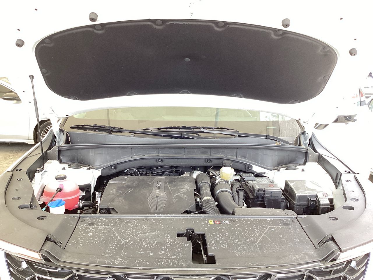 2026 Kia Sorento TURBO