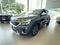 2024 Kia SELTOS 5p EX Pack L4/1.5 Aut